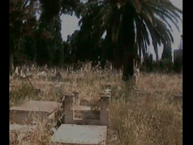 ORAN TAMAZOUHET 44.jpg